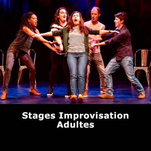 Stage Improvisation Adultes